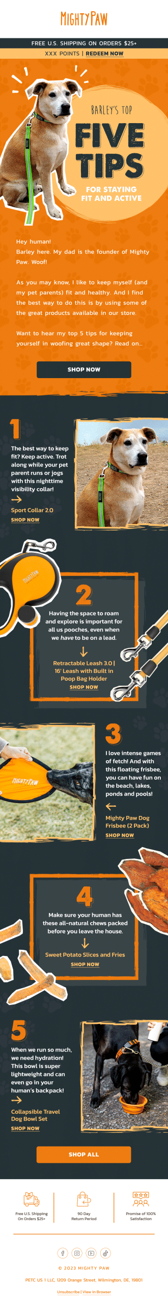 Mighty Paw Campaign Email – Barley's Top 5 Tips